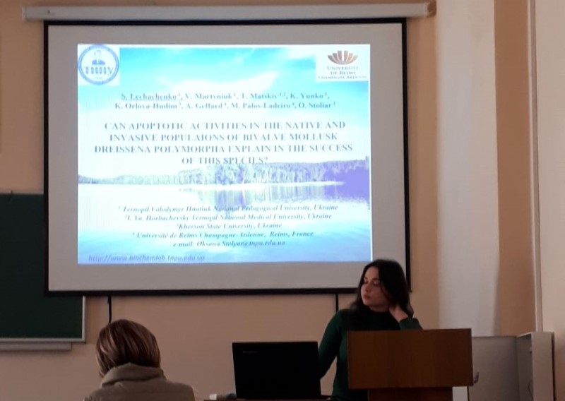 Софія Лечаченко